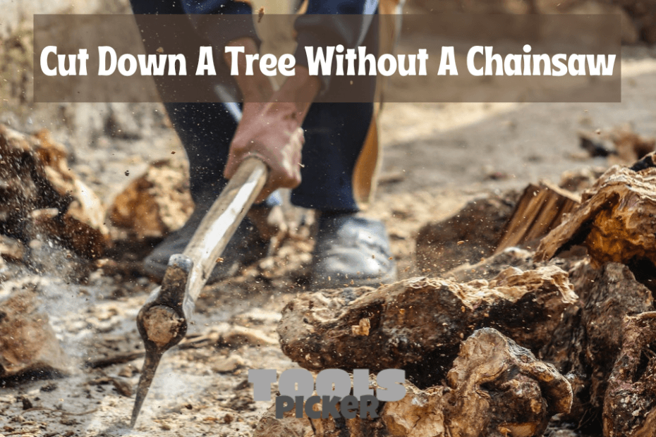 Cut Down A Tree Without A Chainsaw